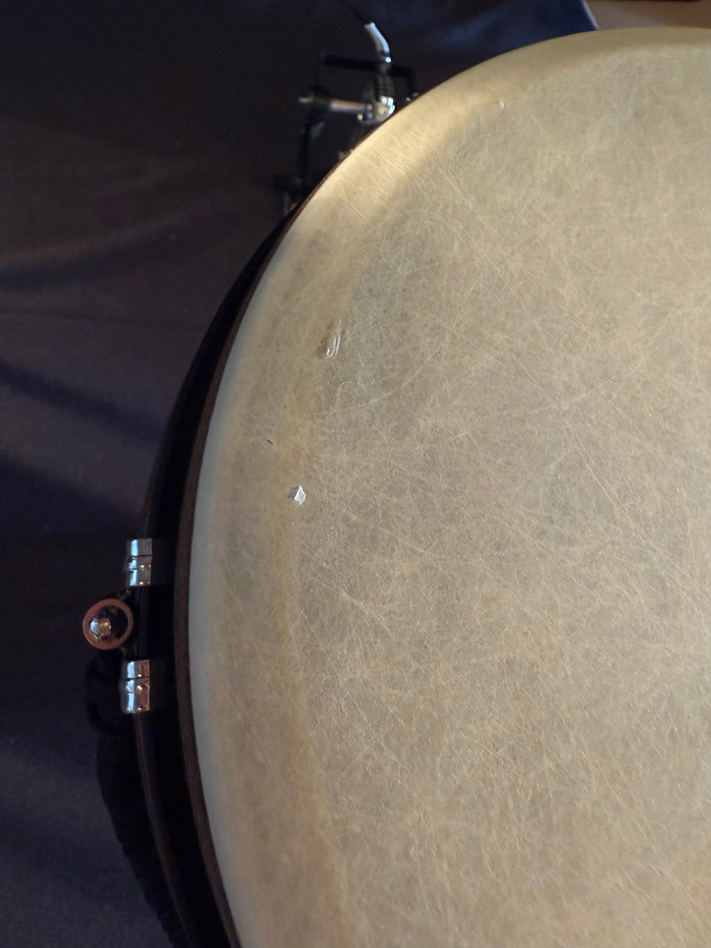 The Voyageur + Djembe Meinl jumbo 12"
