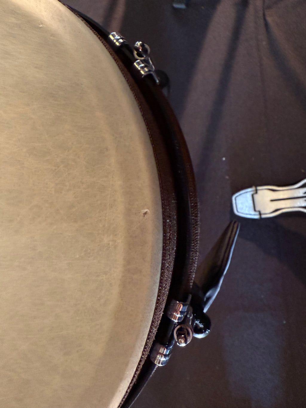 The Voyageur + Djembe Meinl jumbo 12"