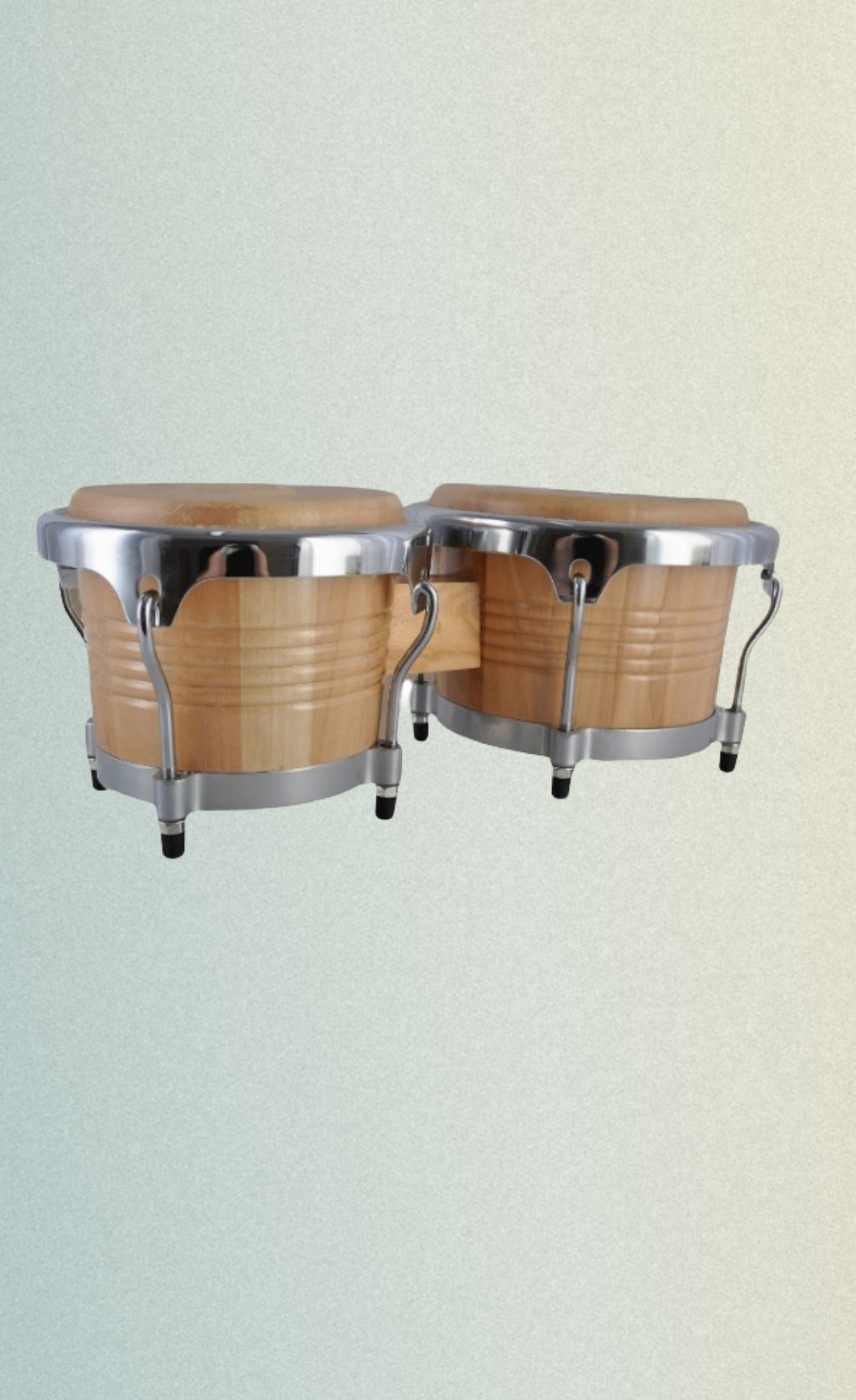 Bongo