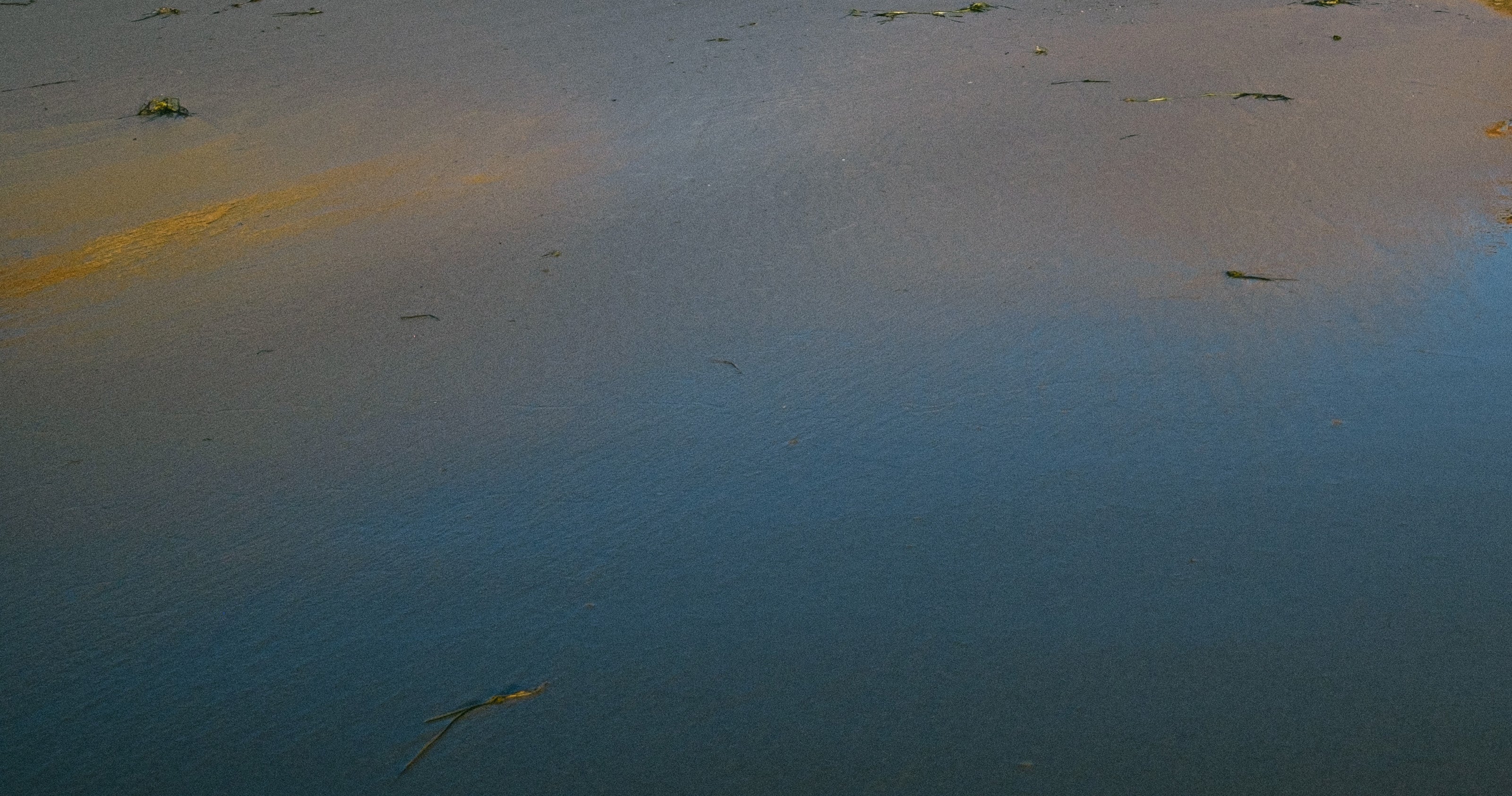 Ocean reflecting the sky